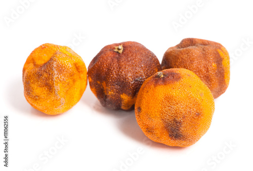 Quadro su tela Group of rotten oranges
