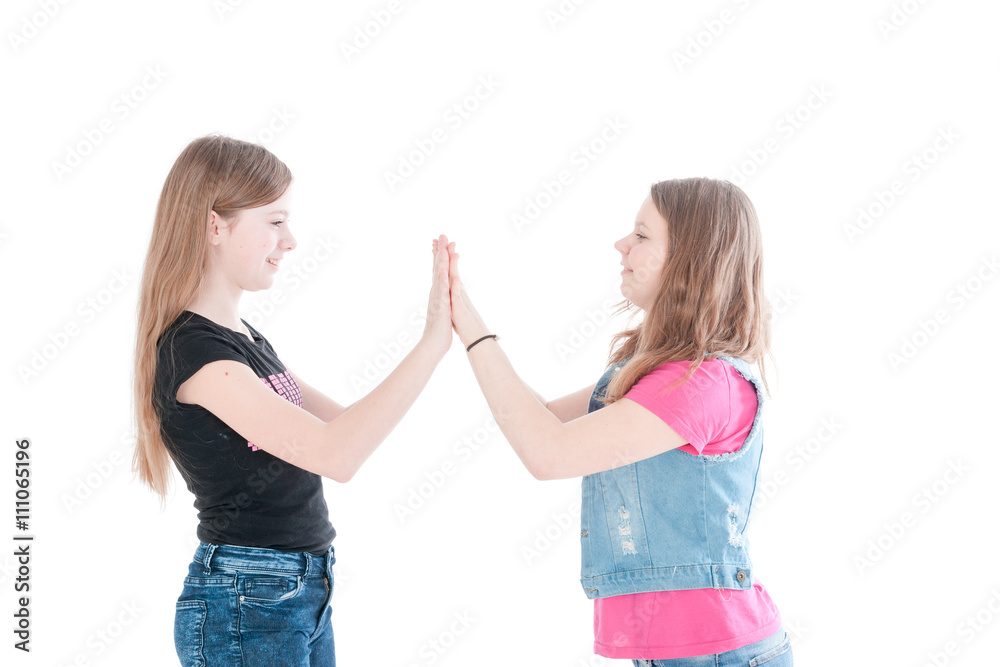 two smiling young beautiful girls two smiling young beautiful girls
