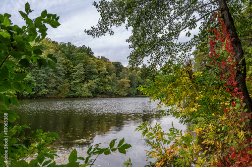 Autumn park photo