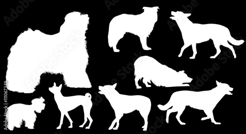 eight white isolated dog silhouettes