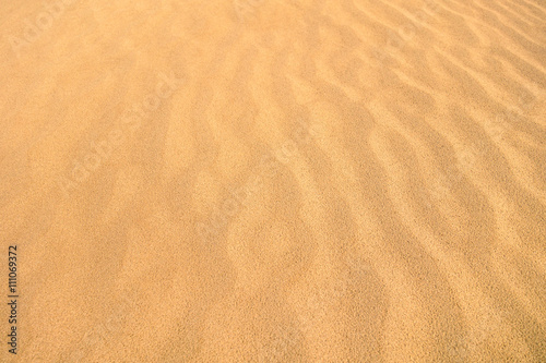 Desert sand dunes panorama from above - Sandy orange beach endless aerial view landscape 
