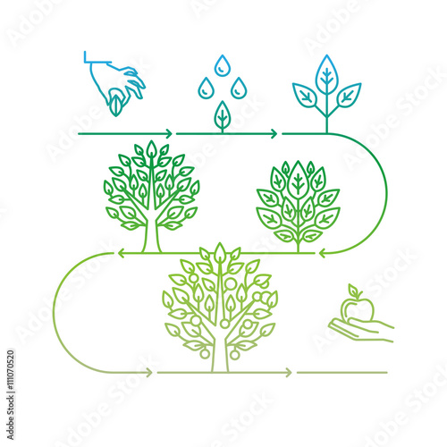Vector infographics design elements and icons in linear style