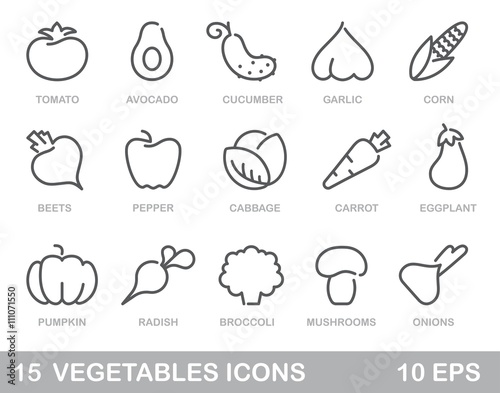 Vegetables icons. Vector contour illustration