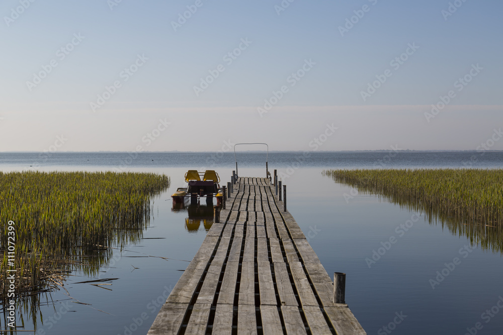 Naklejka premium Kurshskaya kosa, Kaliningrad Region, Russia