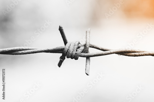 barbed wire. Monochrome