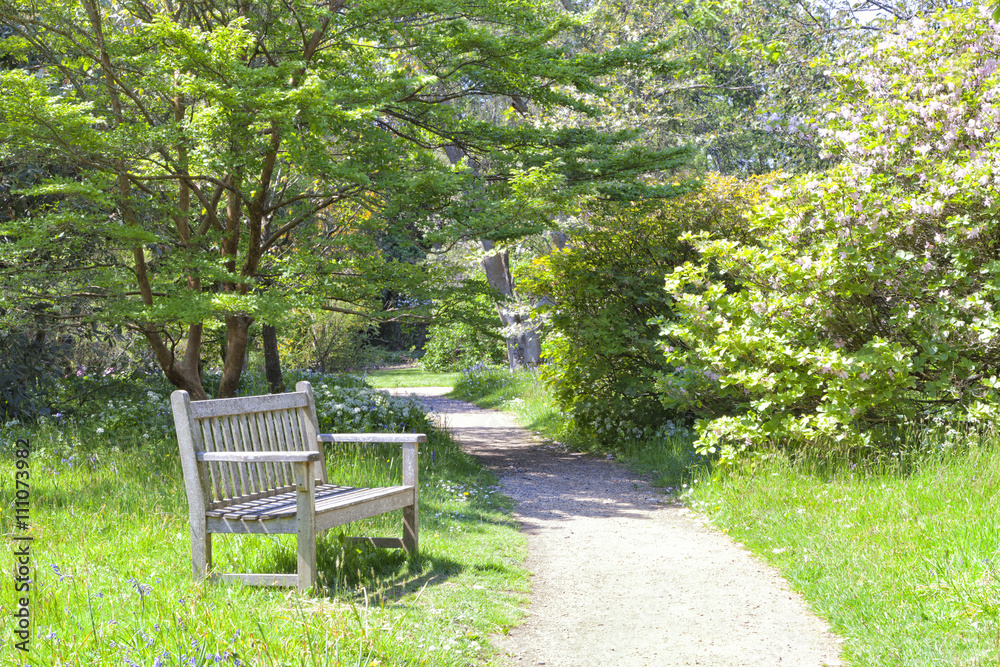 Old grey wooden bench by a gravel walking path in an English garden with spring flowers, shrubs and trees