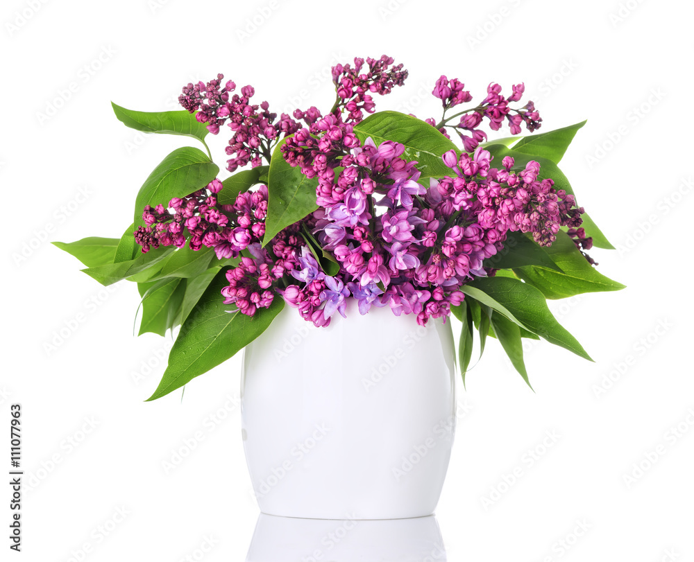 custom made wallpaper toronto digitalLilac flowers in a white vase and isolated