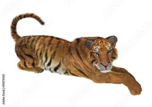 Fototapeta Naklejka Na Ścianę i Meble -  3D Rendering Tiger on White