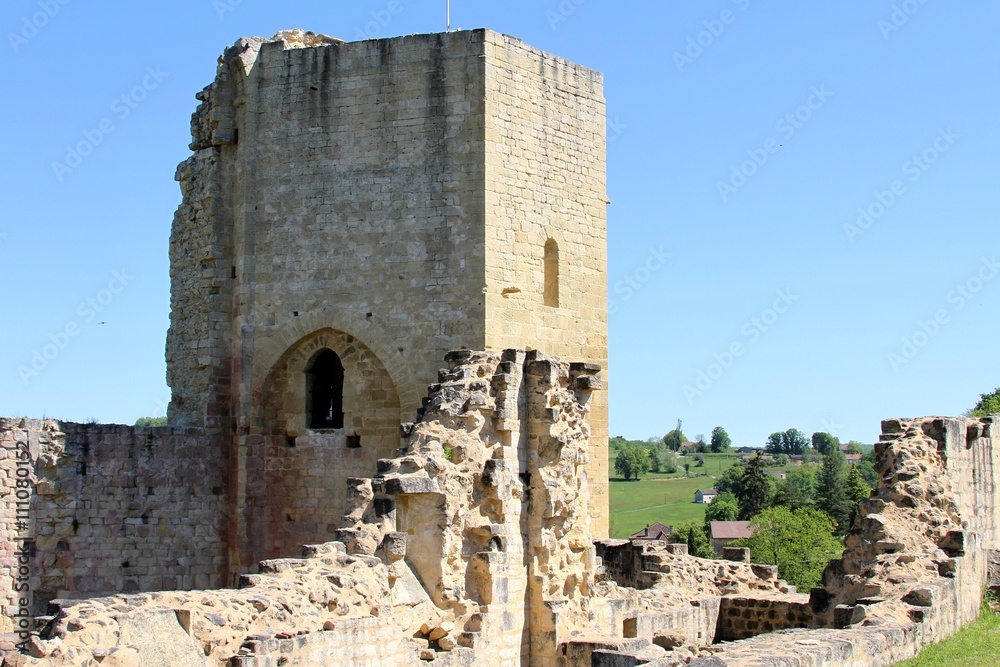 village et château de Carlux,Dordogne,Périgord noir