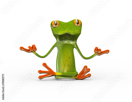 3d frog in zen yoga position