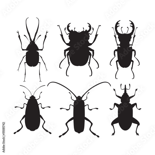 Bug icons. Insect set. photo