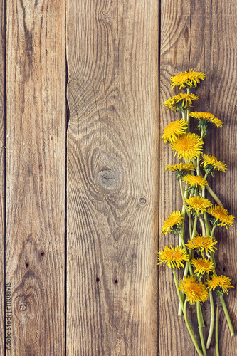 Bunch of dandelions on background of the old wooden boards. Plac