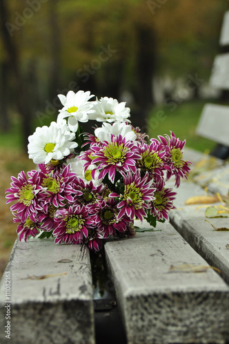 bouquet of chrysanthemums lying on the bench