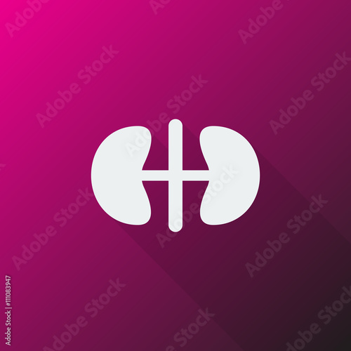 White Kidneys icon on pink background
