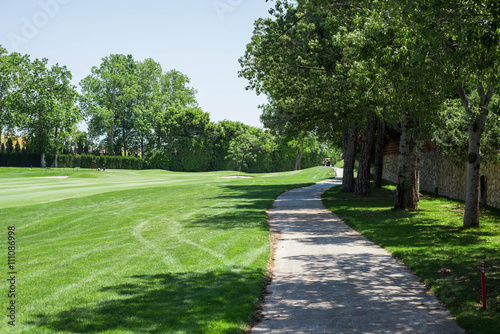 Golf course road with shadows and trees