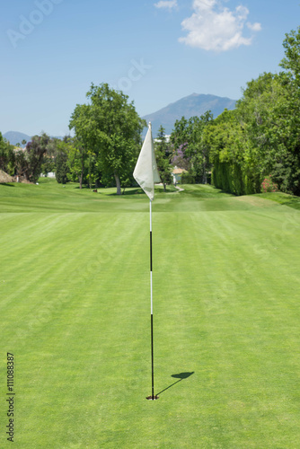 Golf course flag with mountain in the back