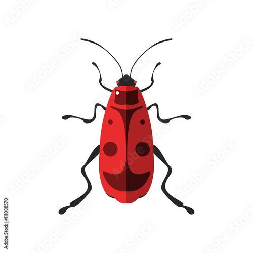 Vector illustration of a firebug.
