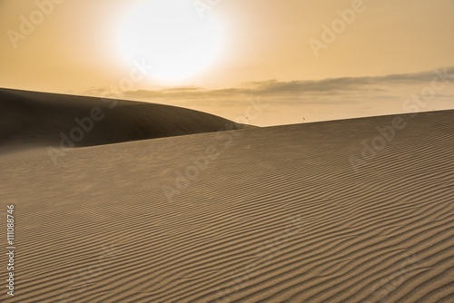 Sunrise in Desert - beautiful landscape with sand dunes