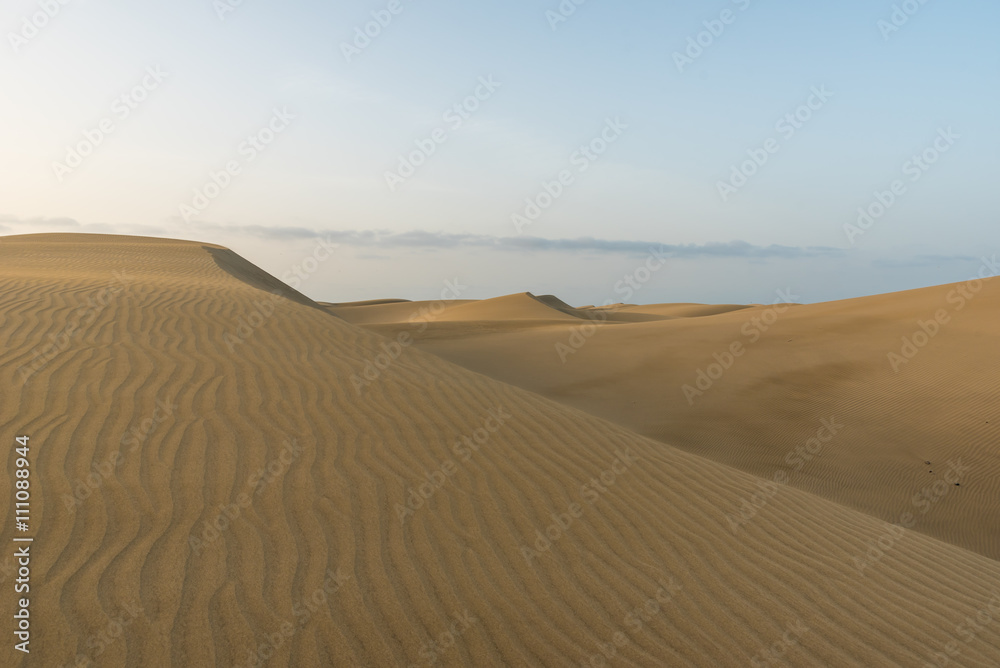 Desert - beautiful landscape with sand dunes