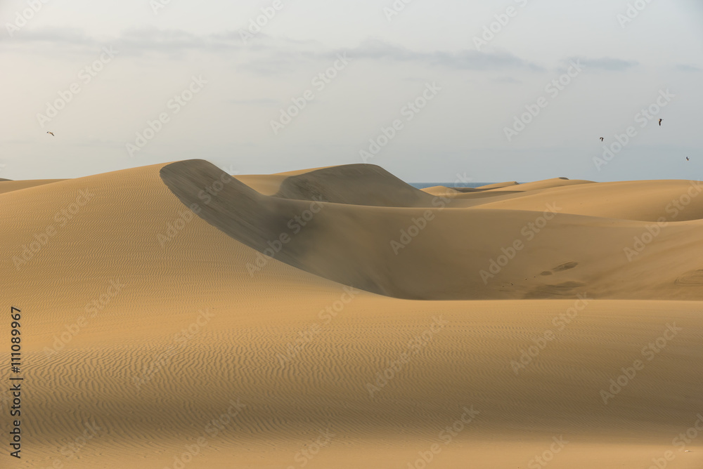 Sahara desert - beautiful landscape with sand dunes