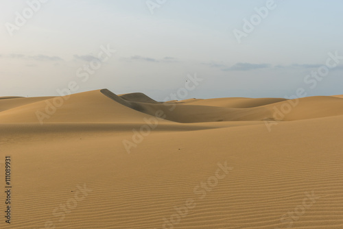 Sahara desert - beautiful landscape with sand dunes