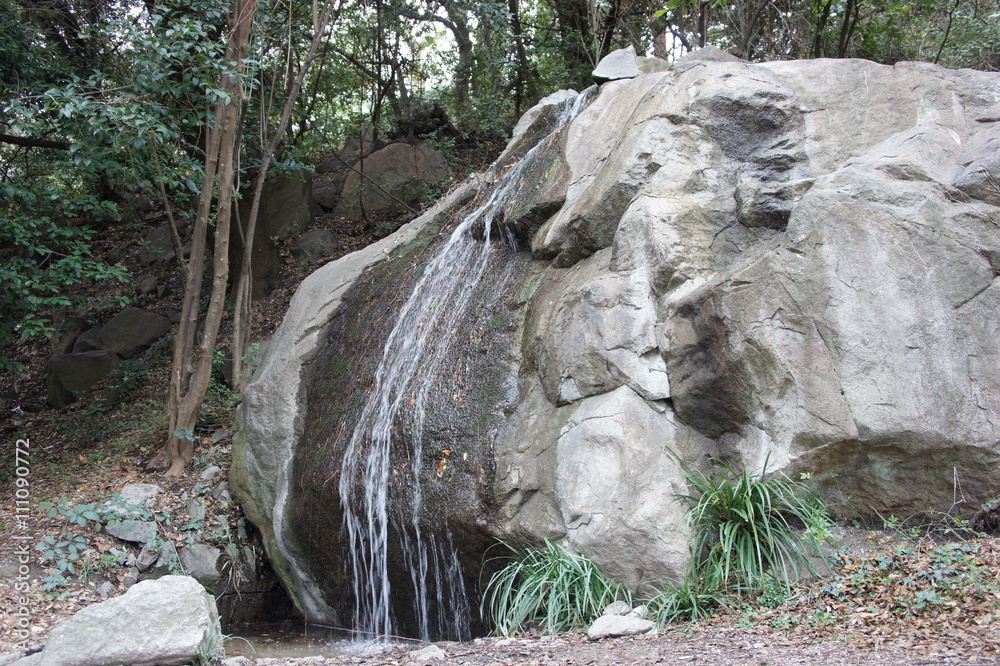 Obraz premium SONY DSC