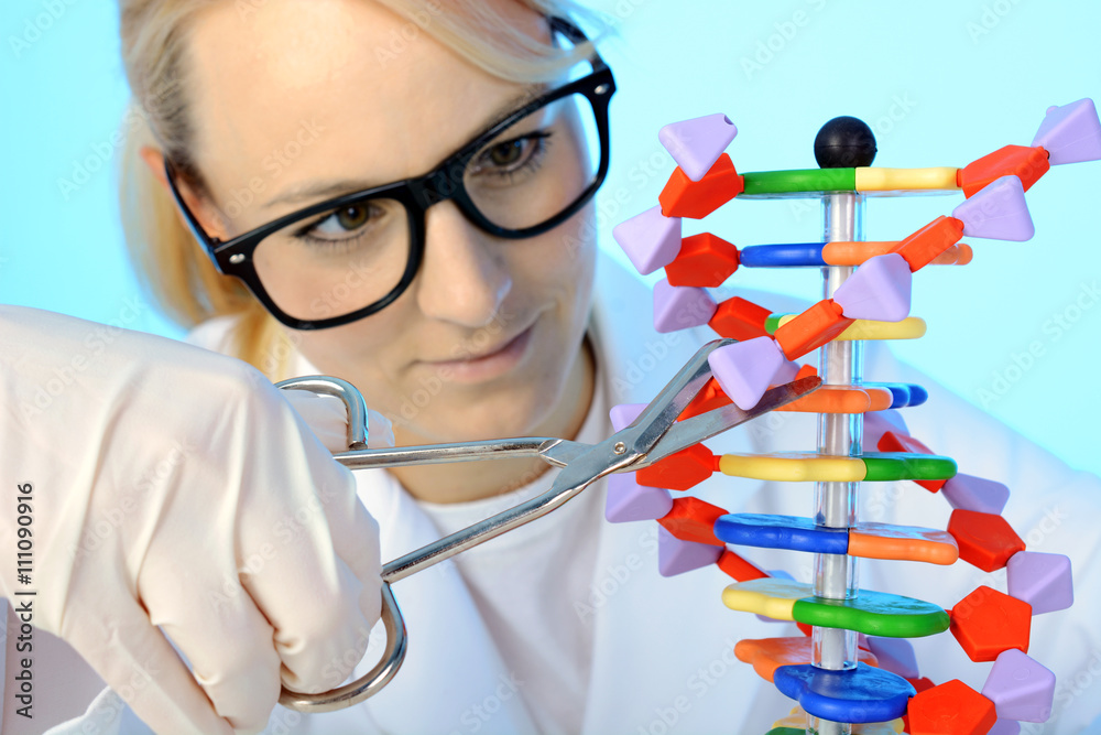 Fotografie Arzt, Gentechniker oder Genetiker bei Genmanipulation am Modell einer DNA Doppel