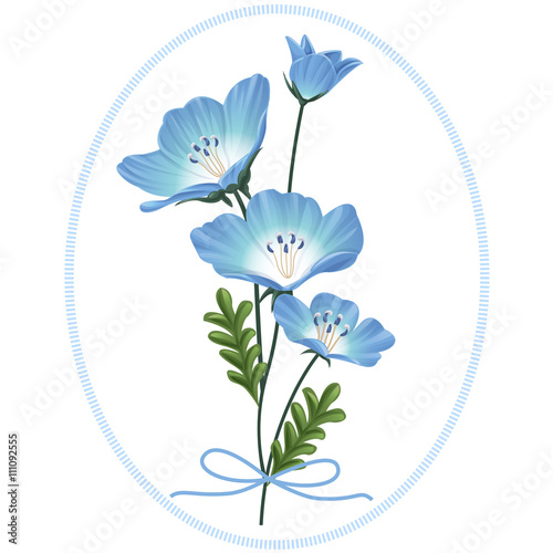 Fototapeta Naklejka Na Ścianę i Meble -  Blue nemophila vector