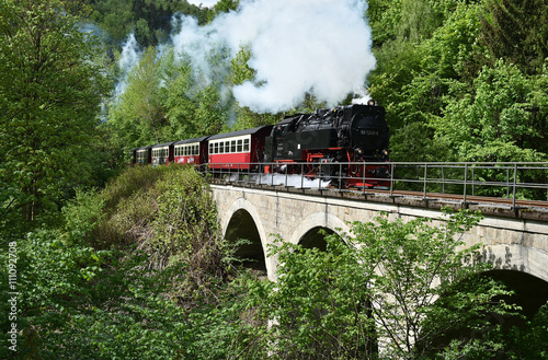 Harzer Schmalspurbahn auf Viadukt photo