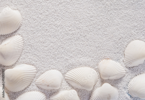 White shells close up on white sand