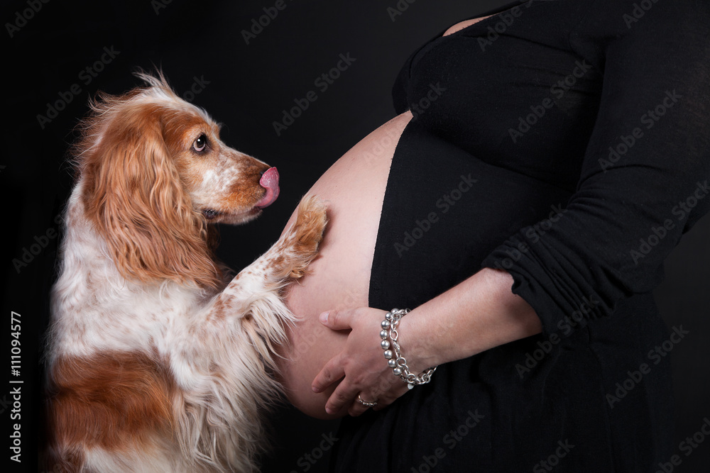 donna in dolce attesa con il suo cane