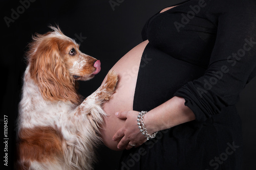Obraz na płótnie donna in dolce attesa con il suo cane w salonie