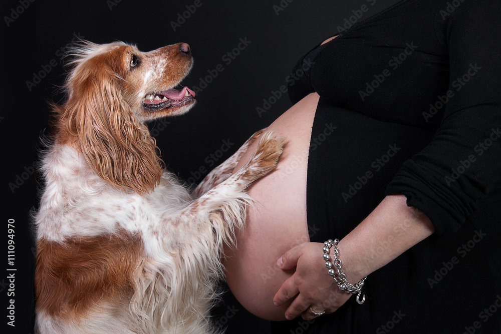 donna in gravidanza con il suo cane