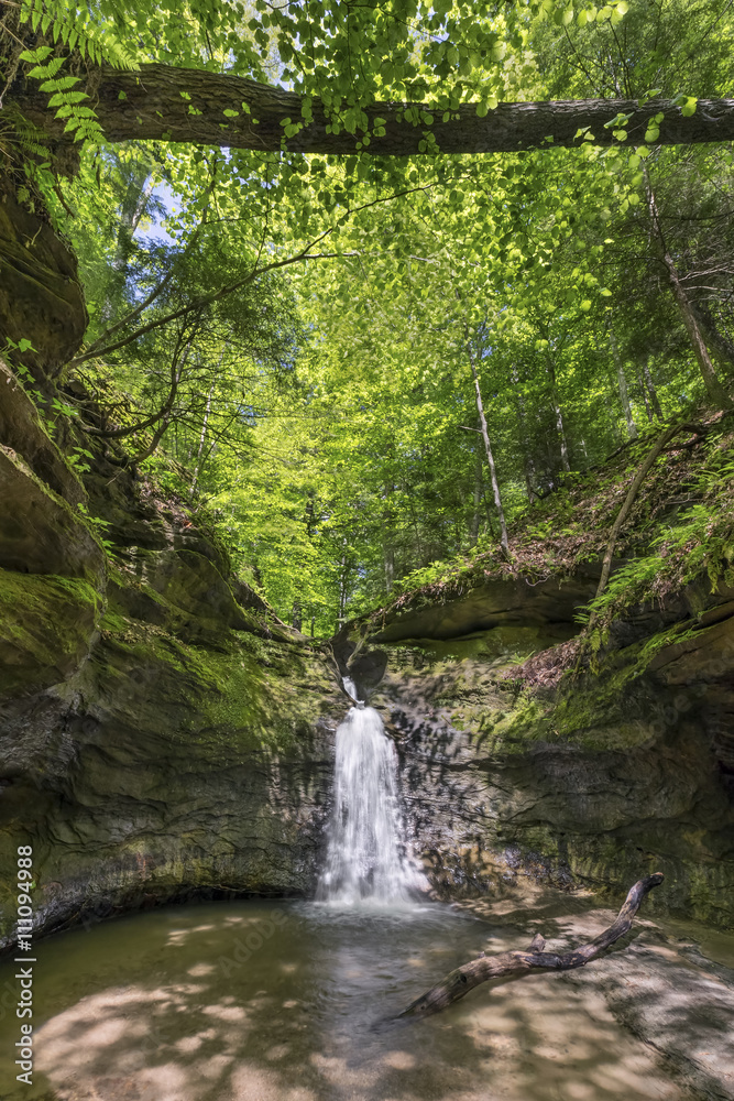 Fototapeta premium The Punch Bowl at Turkey Run