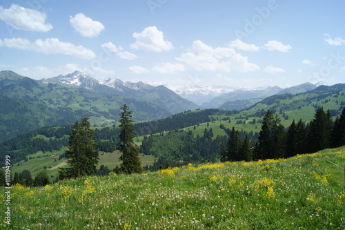 suisse