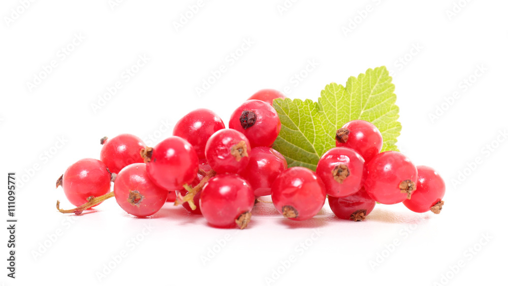 red currant isolated on white