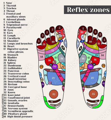 Acupuncture points on the feet. The reflex zones on the feet. Acupuncture. Chinese medicine.