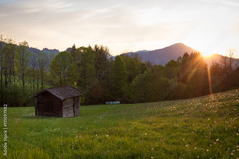 Obraz premium Sonnenuntergang in den Bergen mit Frühlingswiese