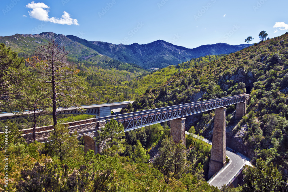 Railway and automobile roads immersed in nature in central Corsi