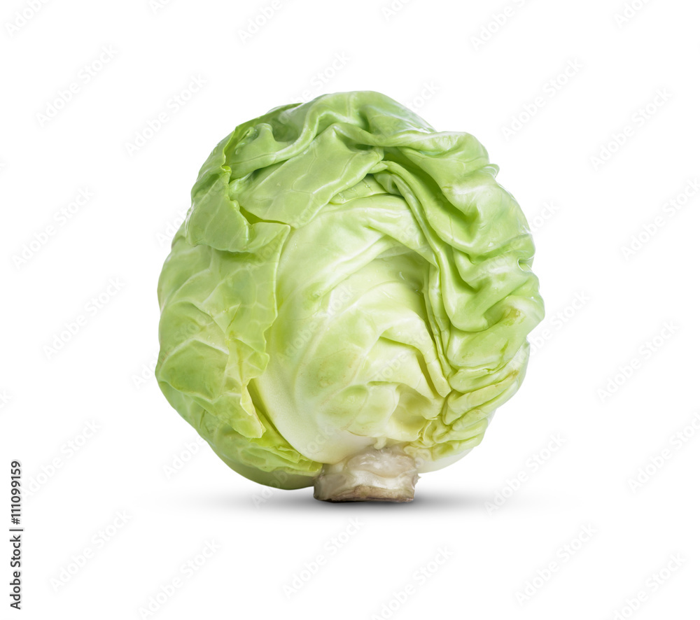 Cabbage Cabbage