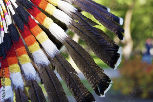 Multi-colored feathers of an Indian national headdress