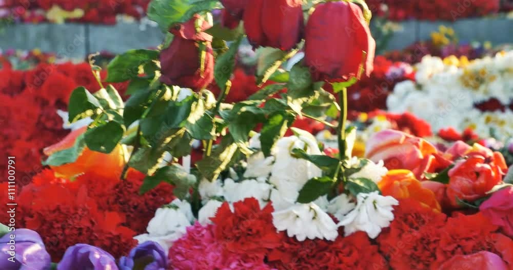 Flowers placed at a monument for victory day of World war 2, 4k Flowers placed at a monument for victory day of World war 2, 4k