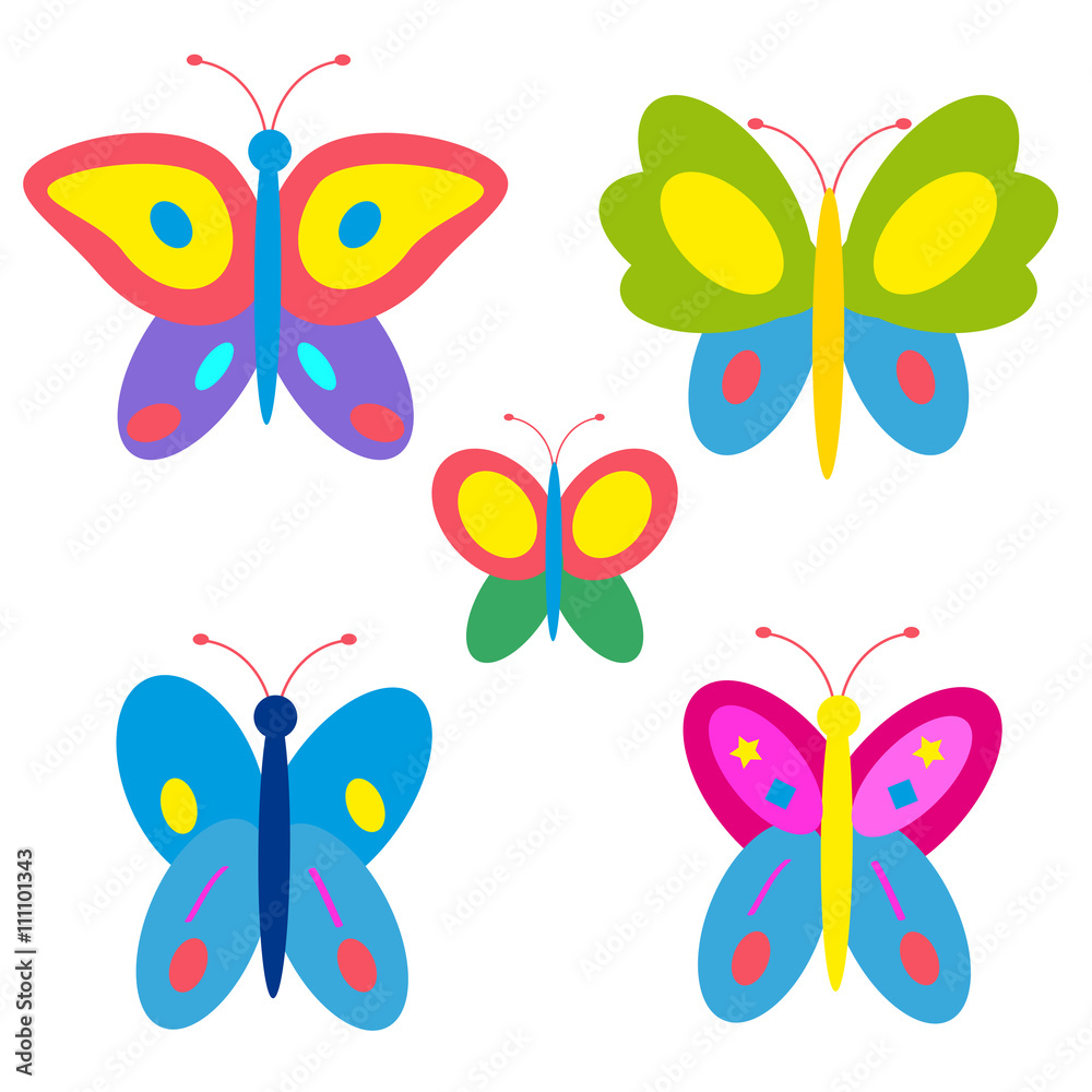 butterfly butterfly
