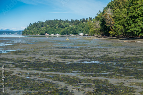 Low Tide At Dash Point 2