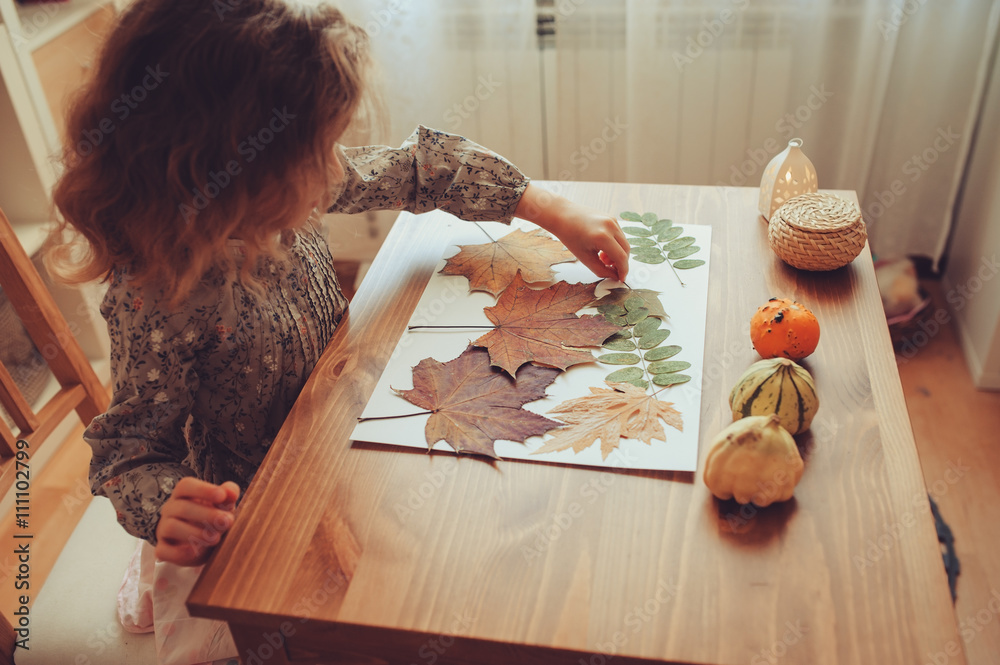 Fototapeta preparations for autumn craft with kids. Herbarium from dried leaves. Learning children at home, fall nature collage.