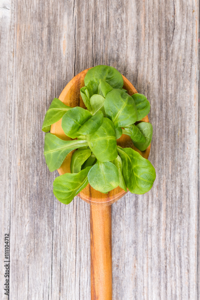 gesunde Vitamine dank Feldsalat gesunde Vitamine dank Feldsalat