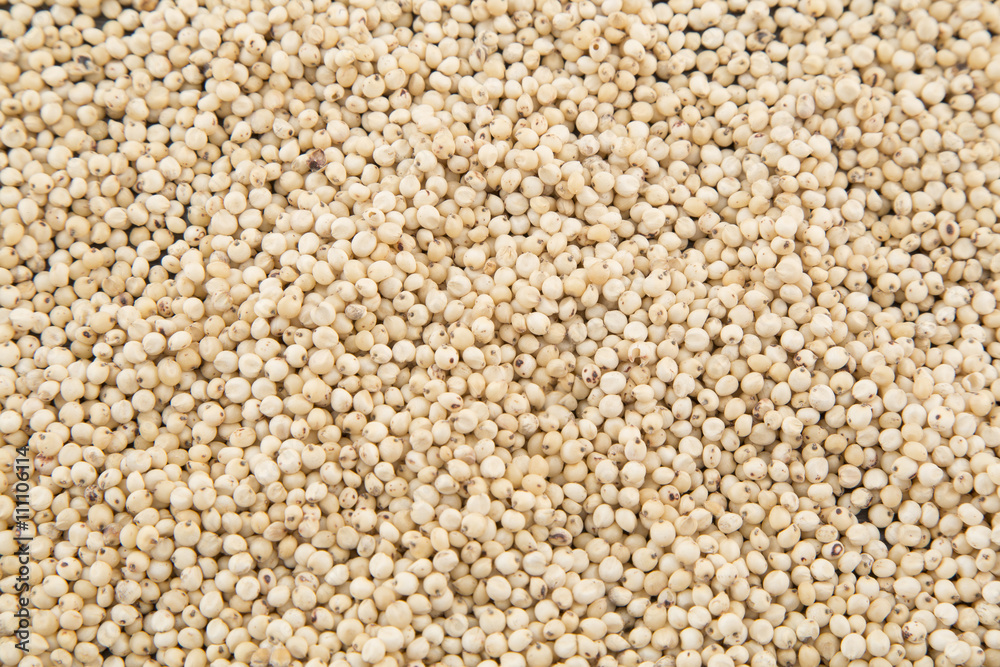 Millo is a cereal regarded as a powerful medicinal food for traditional Chinese medicine Millo is a cereal regarded as a powerful medicinal food for traditional Chinese medicine