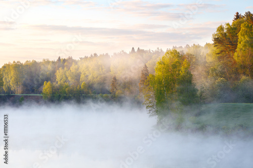 Foggy summer morning with birdsong