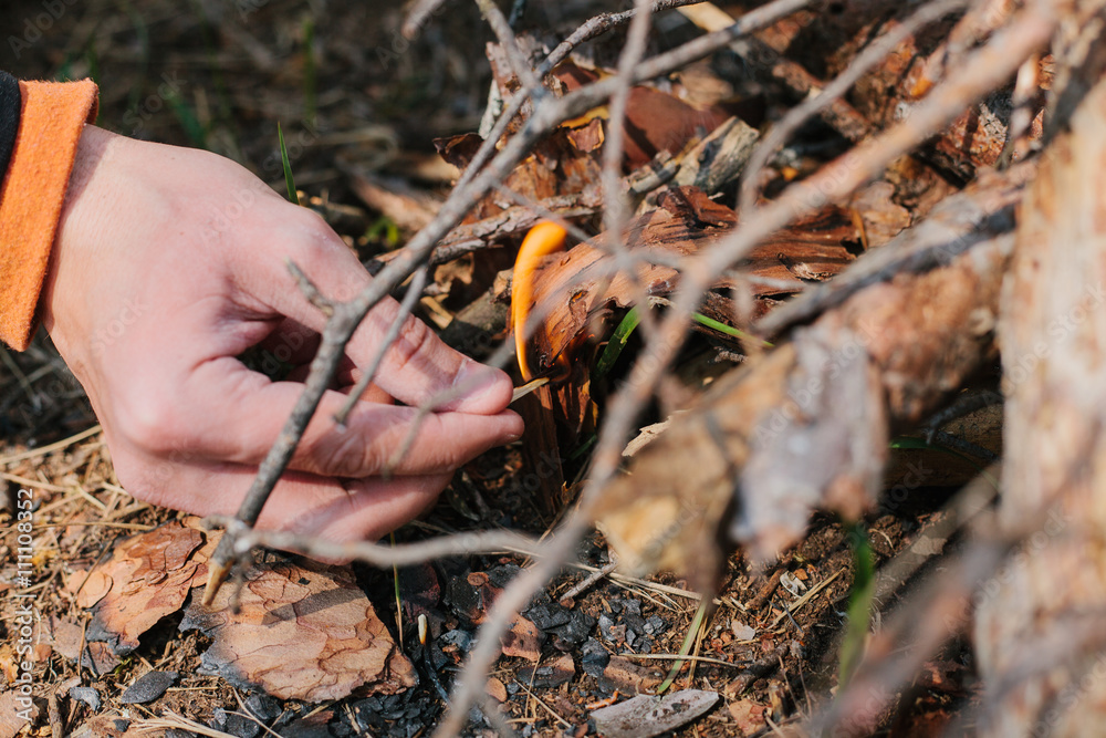 Obraz premium Bonfire next to the tourist camp. Journey into the wild concept.