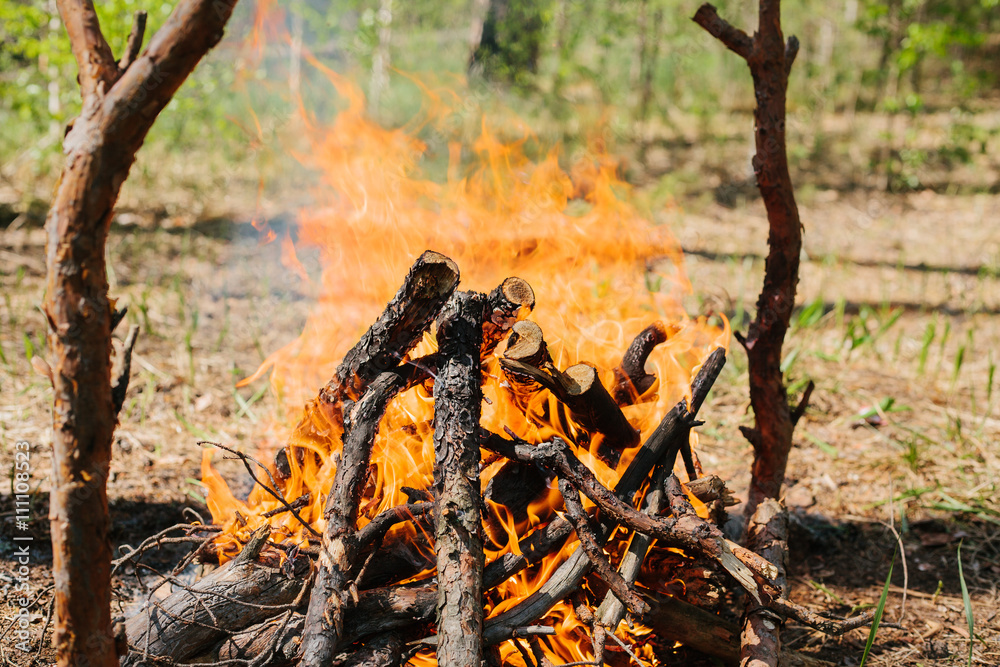 Bonfire next to the tourist camp. Journey into the wild concept.
Bonfire next to the tourist camp. Journey into the wild concept.